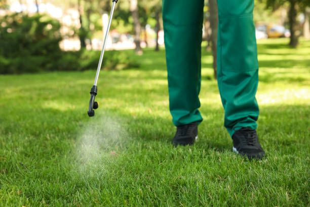 Best Commercial Pest Control Services  in Gasport, NY
